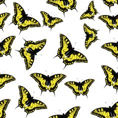 Butterfly Seamless Pattern Background Vector Illustration N4