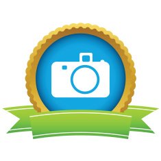 Gold camera logo N2