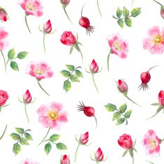 Hand drawn watercolor wild rose flower and bud seamless pattern
