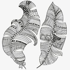 Vector set of feathers on a white background N2