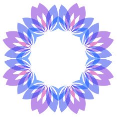 Colorful floral wreath frame N5