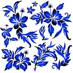 Hibiscus flower illustration N5