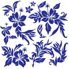 Hibiscus flower illustration N6