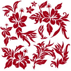 Hibiscus flower illustration N7