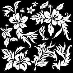 Hibiscus flower illustration N8