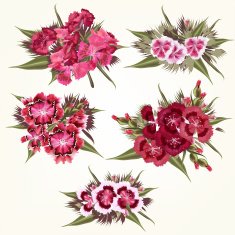 Set of vector pink flowers in detailed and realistic style