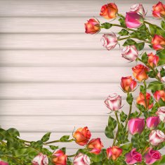 Greeting card with roses EPS 10 N4
