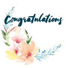 Watercolor greeting card flowers N28