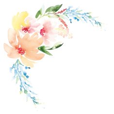 Watercolor greeting card flowers N32