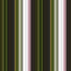 Seamless pattern of colorful stripes N2