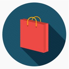 Vector shopping bag Icon N2
