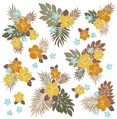 Hibiscus flower illustration N17