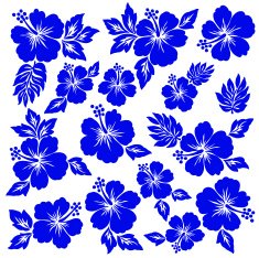 Hibiscus flower illustration N18