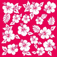 Hibiscus flower illustration N19