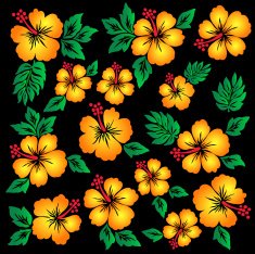 Hibiscus flower illustration N21
