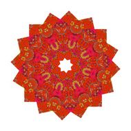 Mandala with floral print isolated on a white background Vector