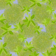 Fresh juicy seamless pattern with leaves