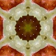 art vintage ethnic blurred watercolor floral pattern N7