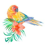 Tropical birds isolated on white background Palm leaves and tropical