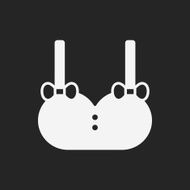 Clothes Icon N67