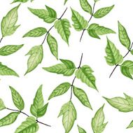 Leaf Pattern N6