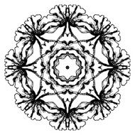 Black and white circular floral pattern Round ornamental pattern