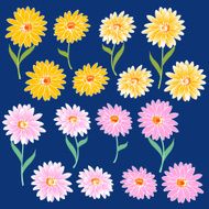 flower material N11