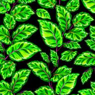 Tropical Seamless Pattern N4