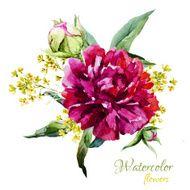 Watercolor summer flowers