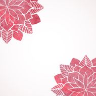 Watercolor pink lace floral patterns on white background Vector