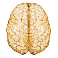 Watercolor brain