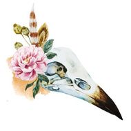 Watercolor bird skull N2