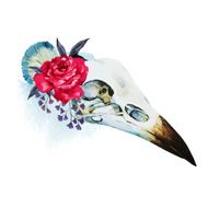Watercolor bird skull N3