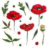 Nice watercolor flowers N3