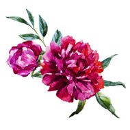 Nice watercolor flowers N5