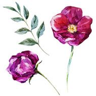 Nice watercolor flowers N7