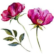 Nice watercolor flowers N9