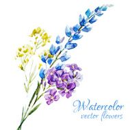 Nice watercolor flowers N10