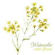 Nice watercolor flowers N11