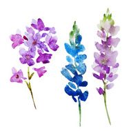 Nice watercolor flowers N12