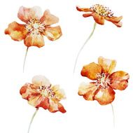 Nice watercolor flowers N14