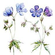 Nice watercolor flowers N15