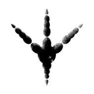 Trail birds