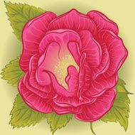 rose flower pink N4