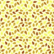 Seamless pattern with colorful oak leaves Autumn texture