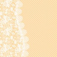 Lace Border N5