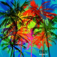 palm beach N9