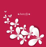 White butterflies