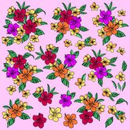 Hibiscus illustration