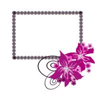 Floral frame with white flowers background
